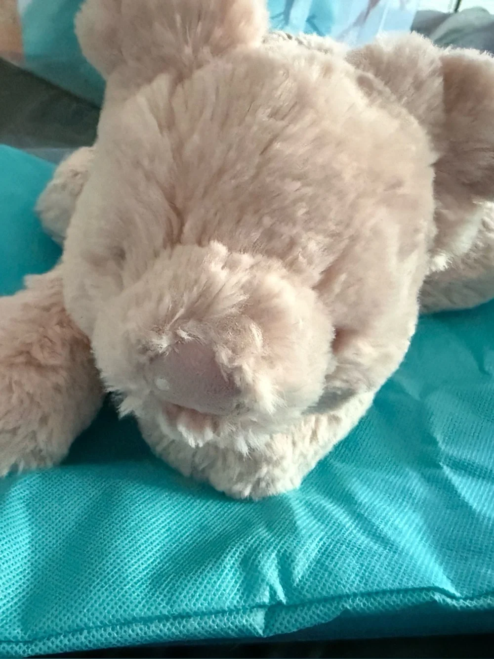 Jellycat Smudge Pig / OUT OF STOCK / NWT /  One Size / 100% Authentic